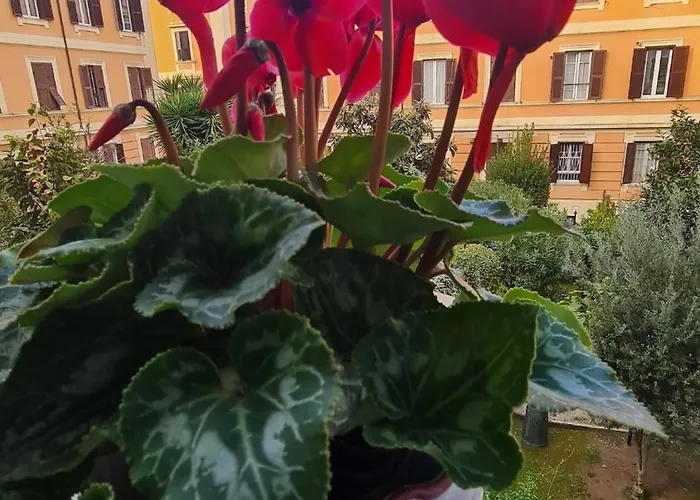 La Perla